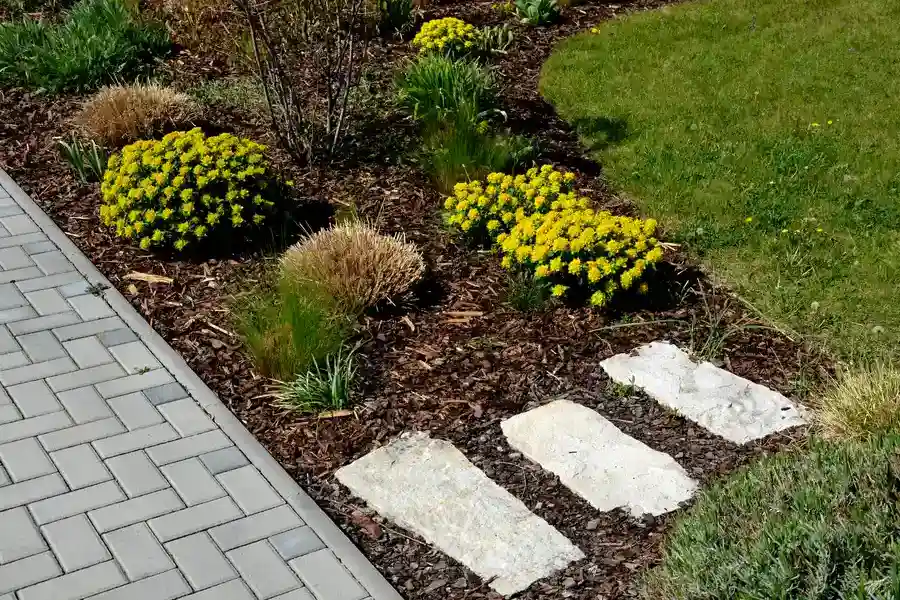 Benefits Of Mulching For Moisture Retention In Lawns Fairmount Heights, MD Benefits Of Mulching For Moisture Retention In Lawns Fairmount Heights, MD