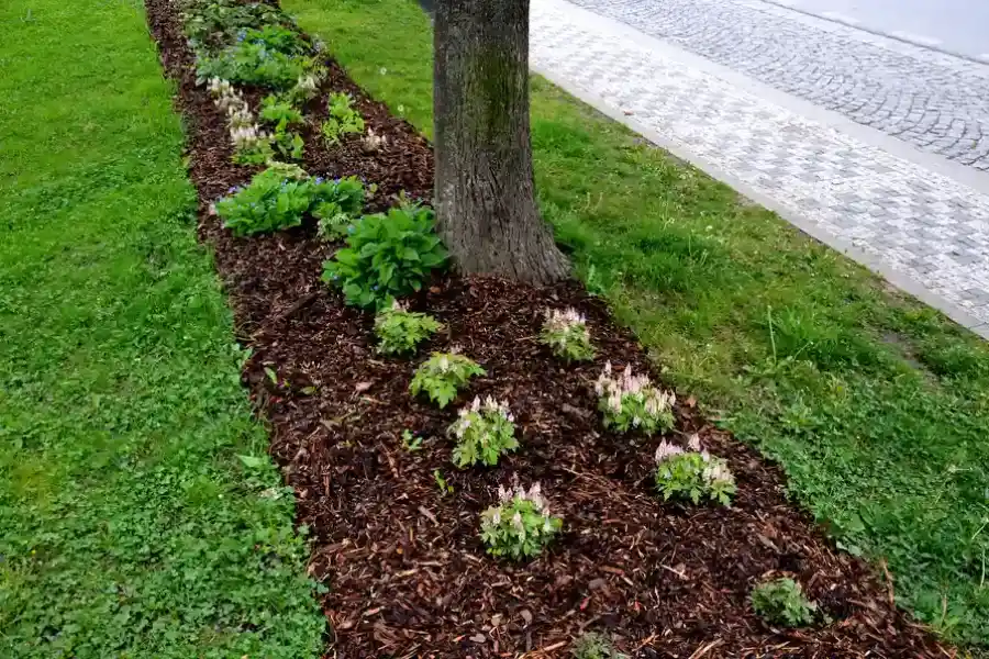 Experienced Mulching Fairmount Heights, MD Experienced Mulching Fairmount Heights, MD