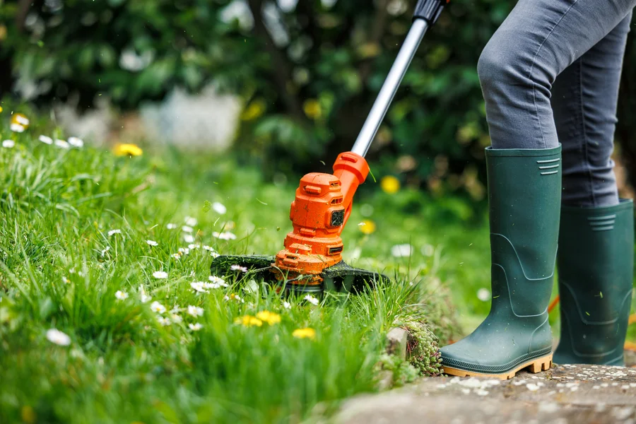 Expert Lawn Care Service Fairmount Heights, MD Expert Lawn Care Service Fairmount Heights, MD