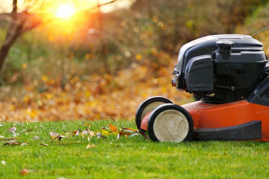 How To Achieve A Perfectly Manicured Lawn With Expert Help in Fairmount Heights, MD How To Achieve A Perfectly Manicured Lawn With Expert Help in Fairmount Heights, MD