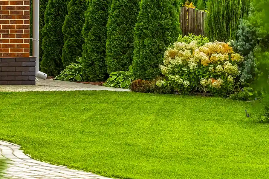 Professional Lawn Care Service Fairmount Heights, MD Professional Lawn Care Service Fairmount Heights, MD