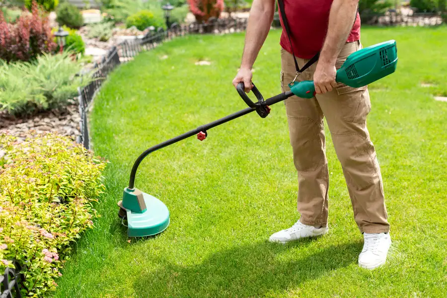 Quality Lawn Care Service Fairmount Heights, MD Quality Lawn Care Service Fairmount Heights, MD